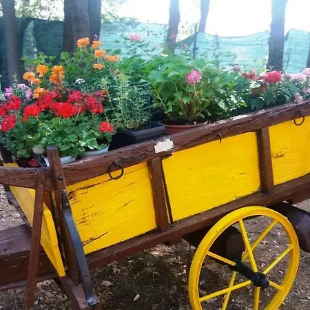 Gabriella Bed & Breakfast Fiano Romano